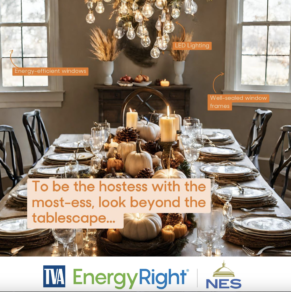 Example of a social media post from Nashville Electric Services showcasing their educational holiday content in their utility marketing strategy.